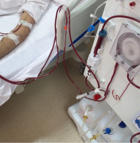 Dialysis access - construction, assessment, and repair